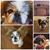 Christina Braswell's profile image