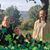 Marjorie Mccue Campo's profile image