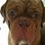 Jennifer Burgin's profile image