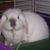 Sean Morse's profile image