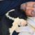 Jeffrey Noveroske-Tritten's profile image