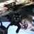 Sherry Lindeman's profile image