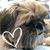 Sandra L Wood's profile image