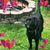 Erika Babin Shields's profile image