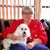 Phyllis Murphy Hobbs's profile image