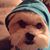 Michele Wilcom Fischer's profile image