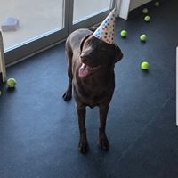 Brian Robinson's profile image