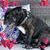 Debbie Walden Gardner's profile image