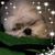 Paula Checkley's profile image