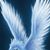 Nancy Fox's profile image