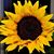 Judi Vrabel's profile image