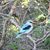 Joyce Stewart's profile image