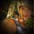 Randall Allen's profile image