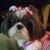 Michelle Guttman's profile image