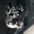 Dalynda Marie's profile image