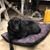 Dawn Kooiker's profile image