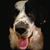 Charlie Choc's profile image