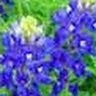 Karen R.'s profile image