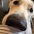 Sandy Sauro Walley's profile image