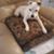 Sue LaBarre's profile image