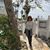 Nedra Tedesco Hazlett's profile image