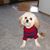 Annie Jones's profile image
