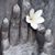 Judith Farrow's profile image