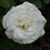Kimberly Baird's profile image