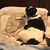 Cathy Miseta's profile image