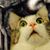 Rob Randolph's profile image