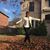 Leatrice Williams-Sanders's profile image