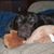 Kathy Elliott's profile image