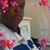 Ruth Reynolds Grubbs's profile image