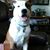 Susan Roberts's profile image