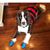 Elizabeth Crawley Puckett's profile image
