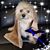 Sherry Charlie Truscott's profile image