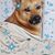 Cynthia DesRochers Rocha's profile image