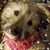 Patricia Colbert's profile image