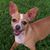 Pamela McBee's profile image