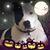 Kim Reeves's profile image
