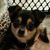 Emily Malek's profile image