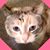 Linda Kirk's profile image