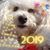 Meg Shapleigh's profile image