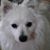 Rose Torre's profile image