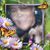 LTina Harris's profile image