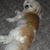 Penny Hafer's profile image