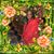 Tea Palmer's profile image