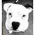Lisa Evans's profile image
