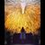 Danna Cristaldo's profile image