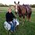 Jody Molesworth's profile image